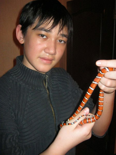 Радлан Джамарзаев