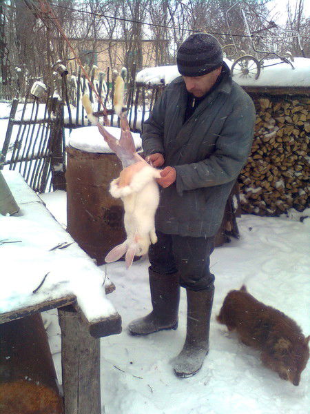 Семен Стефанов