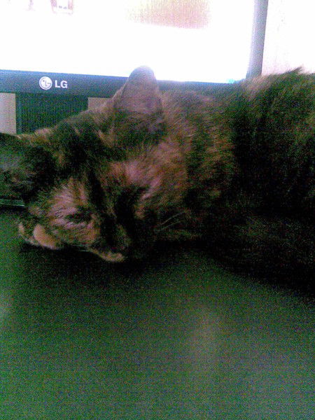 Ерсултан Козыкорпешов