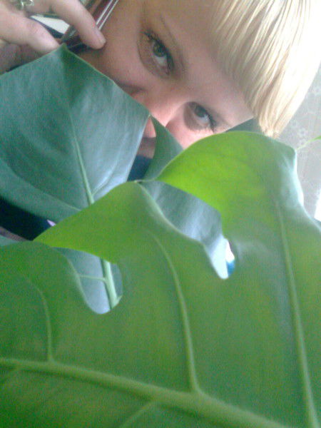 Елена Кошечкина