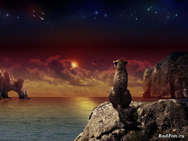 Светлана Сачук