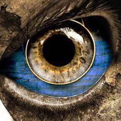 Владимир Журавлёв