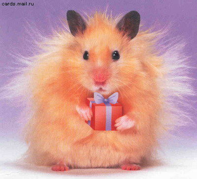 Елена Яньшина