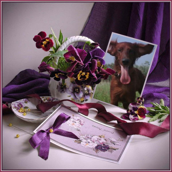 Анна Примак