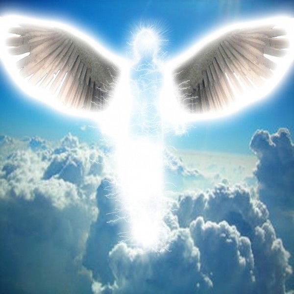 Елена Дракончик