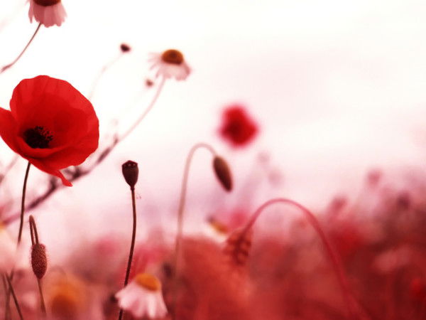 Евгения Александрова