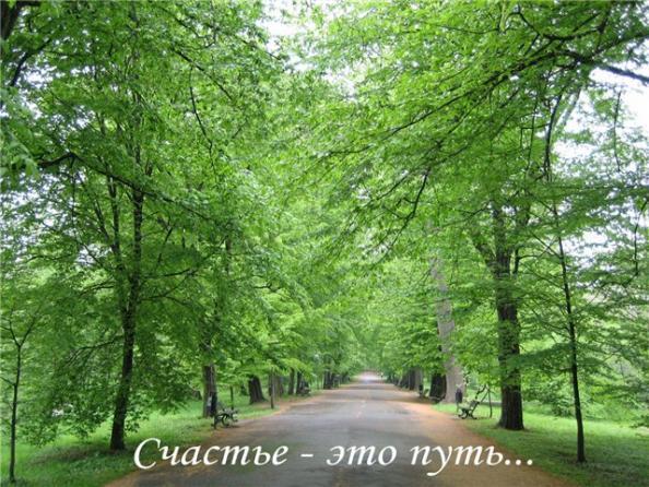 Елена Скоселева