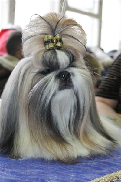 Екатерина Булатова