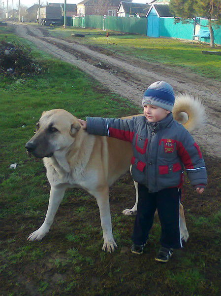 Александр Тепляков