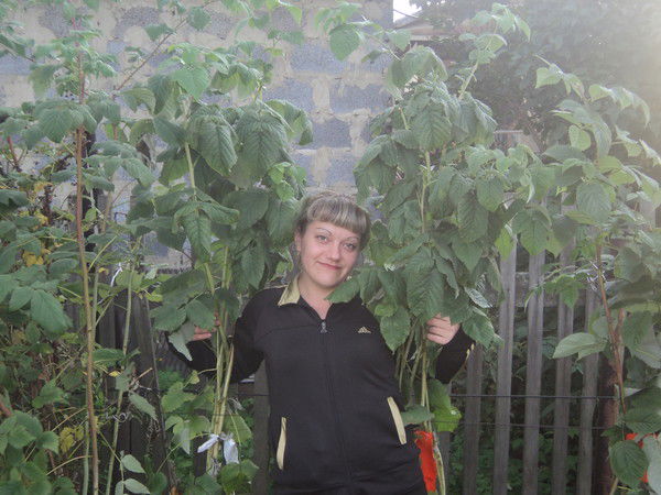 Татьяна ***********