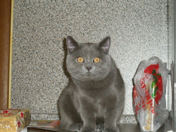 Марина Шурухина