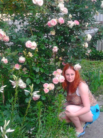 Елена Колесник