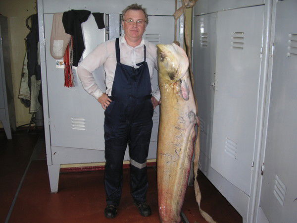 Владимир Каминский