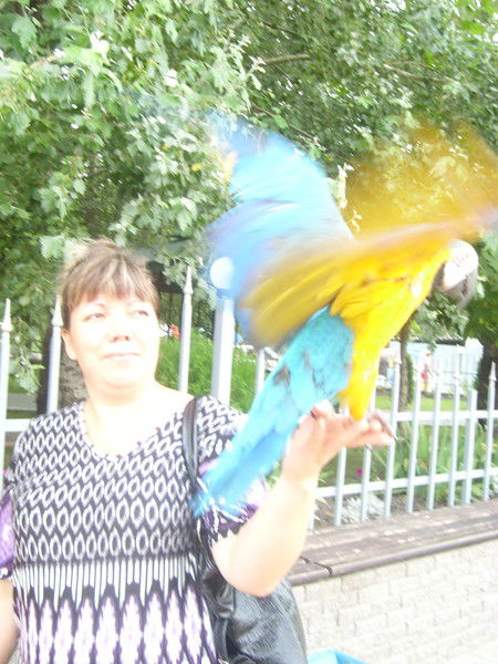 Елена Гаппель(Скоробогатова)