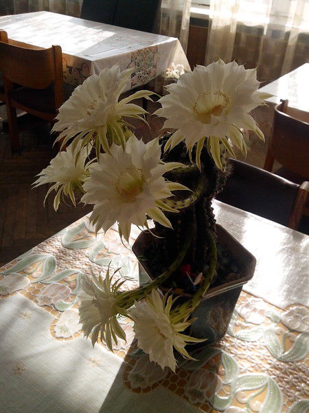 Валентина Браткова