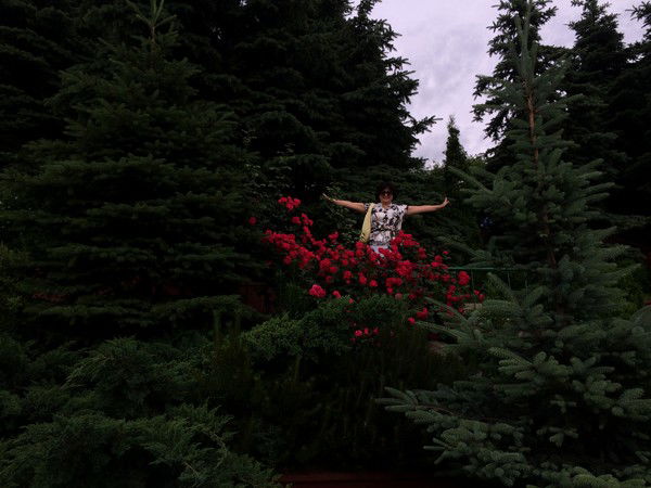 Шн@р Айгистова