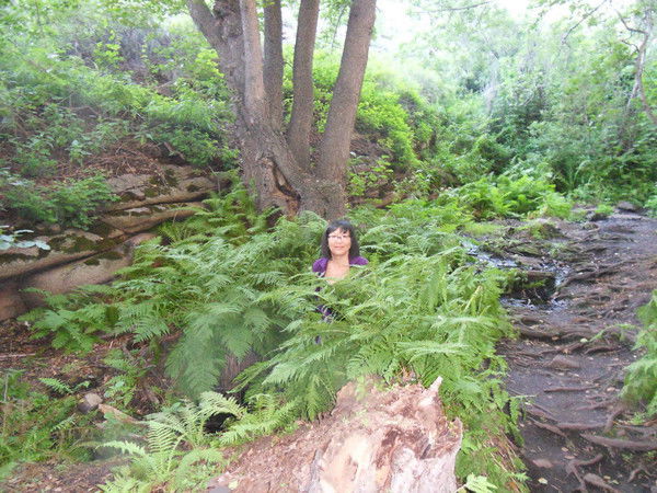 Адия Ибрагимова