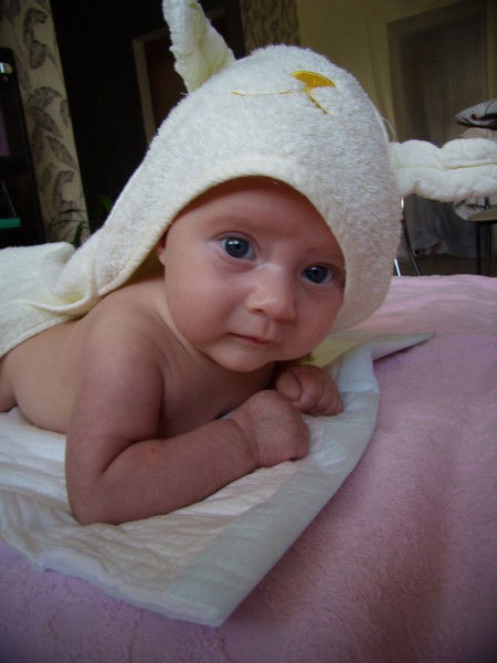 Елена Дорофеева