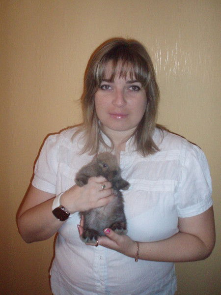 Елена Плотникова