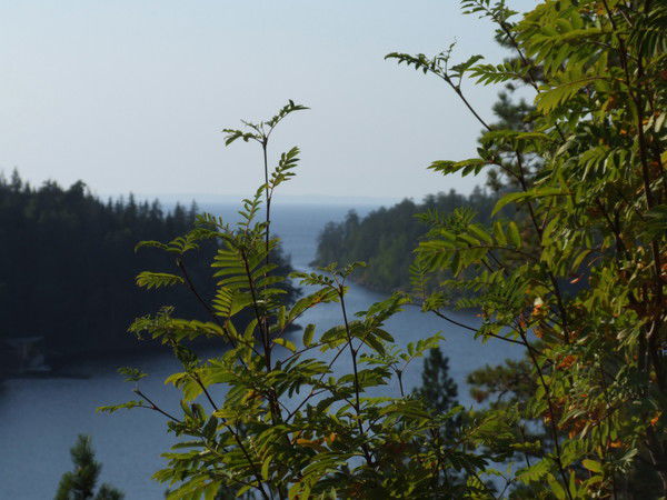 Вячеслав Фамилия