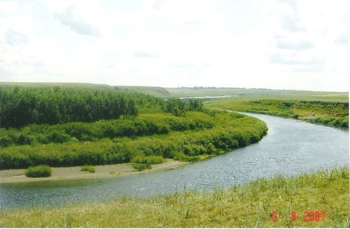 Андрей Максимов