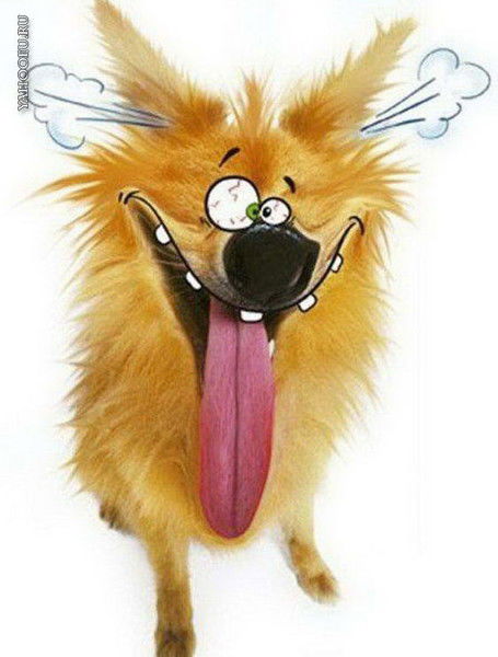 Виктор Пути.........