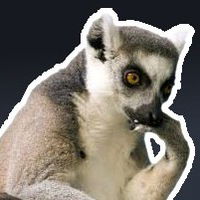 Макс Самарский