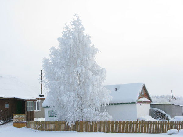 Борис Шпека