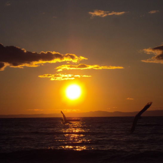 Иван Телешев