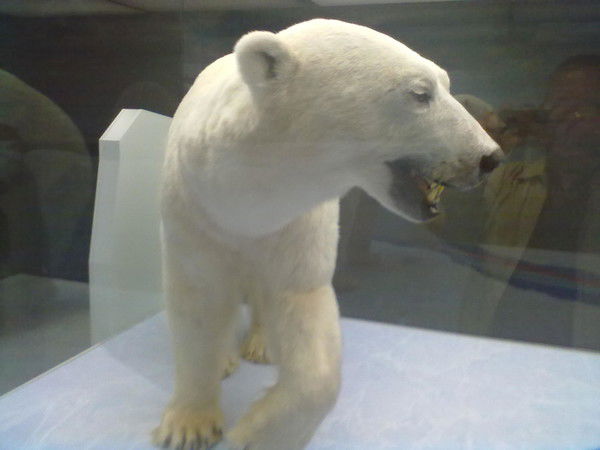 Майкл Обама