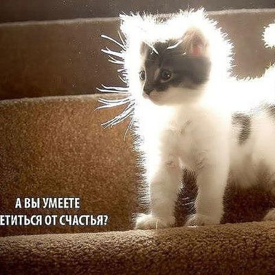 Вика Мезенцева