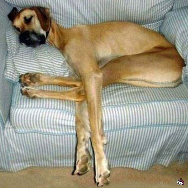 Алина Ильинкова