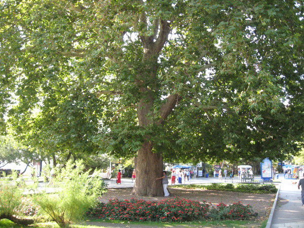 Наталья Галка