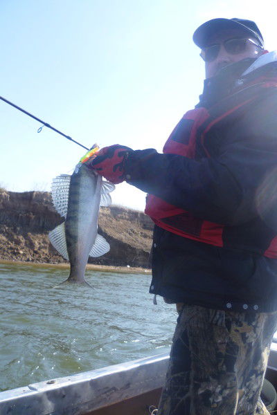 Владимир Турчанов