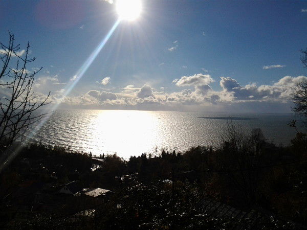 Александр Рыбаченко