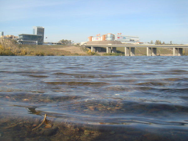 Инна И Рома Гутниковы