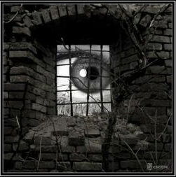 Сергей Рябчук