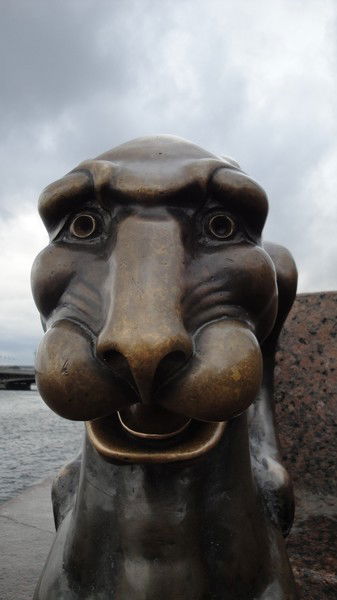 Панченко Владислав