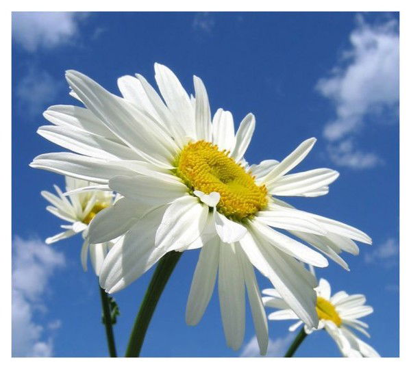 +++++Натали +++++