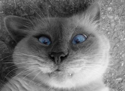 Сергей Сурков