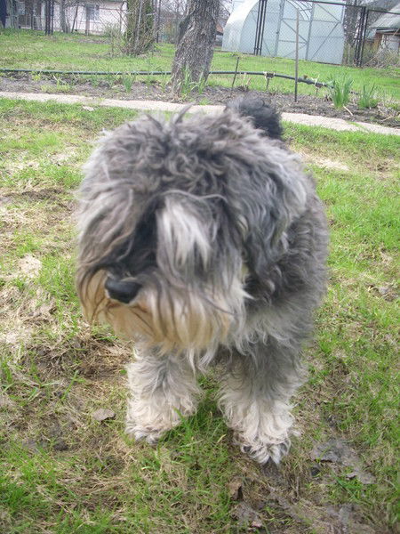 Елена Сироко