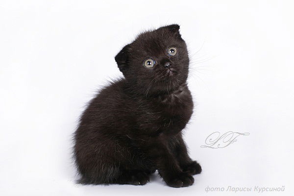 Неизвестно Неизвестно