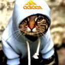 |{Oтe Z I P O