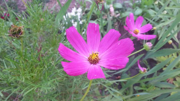 Анастасия Мовчан