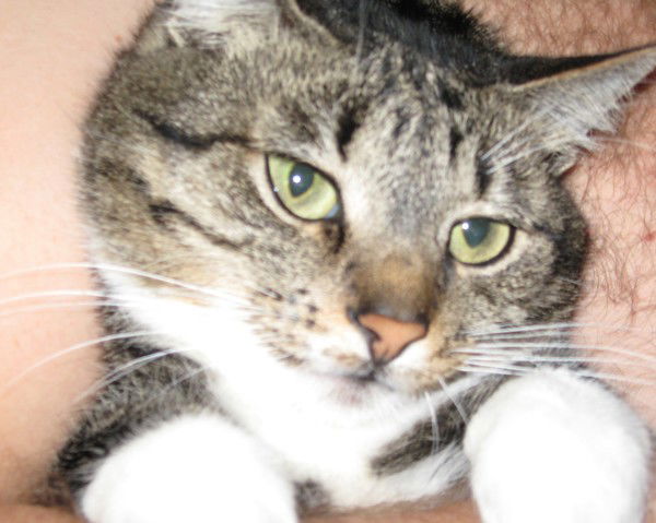 Жанна Цубрикова