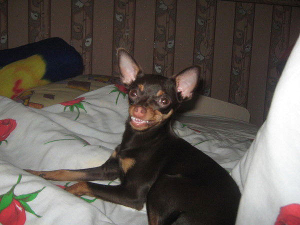 Татьяна Сиверцева