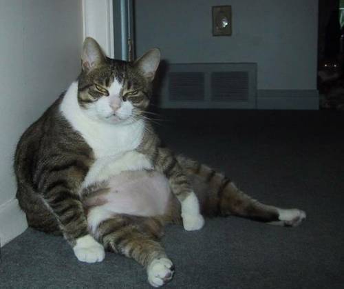 Сергей Тарасов