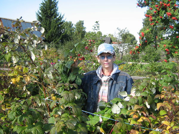 Наталья Рыбак