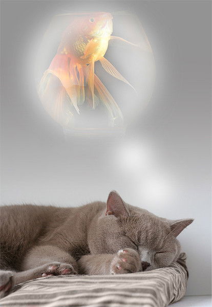 Виктор Ордынский