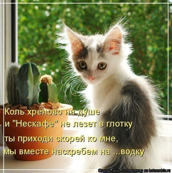 Эльвира Эльвира